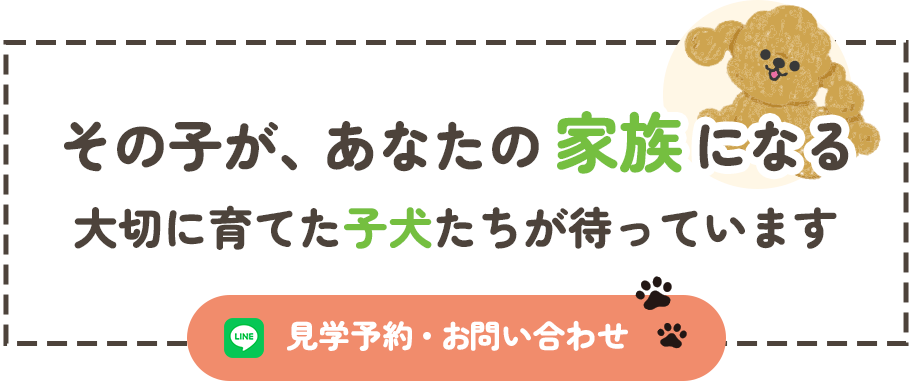その子が、あなたの家族になる