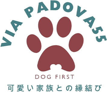 株式会社Via Padova55