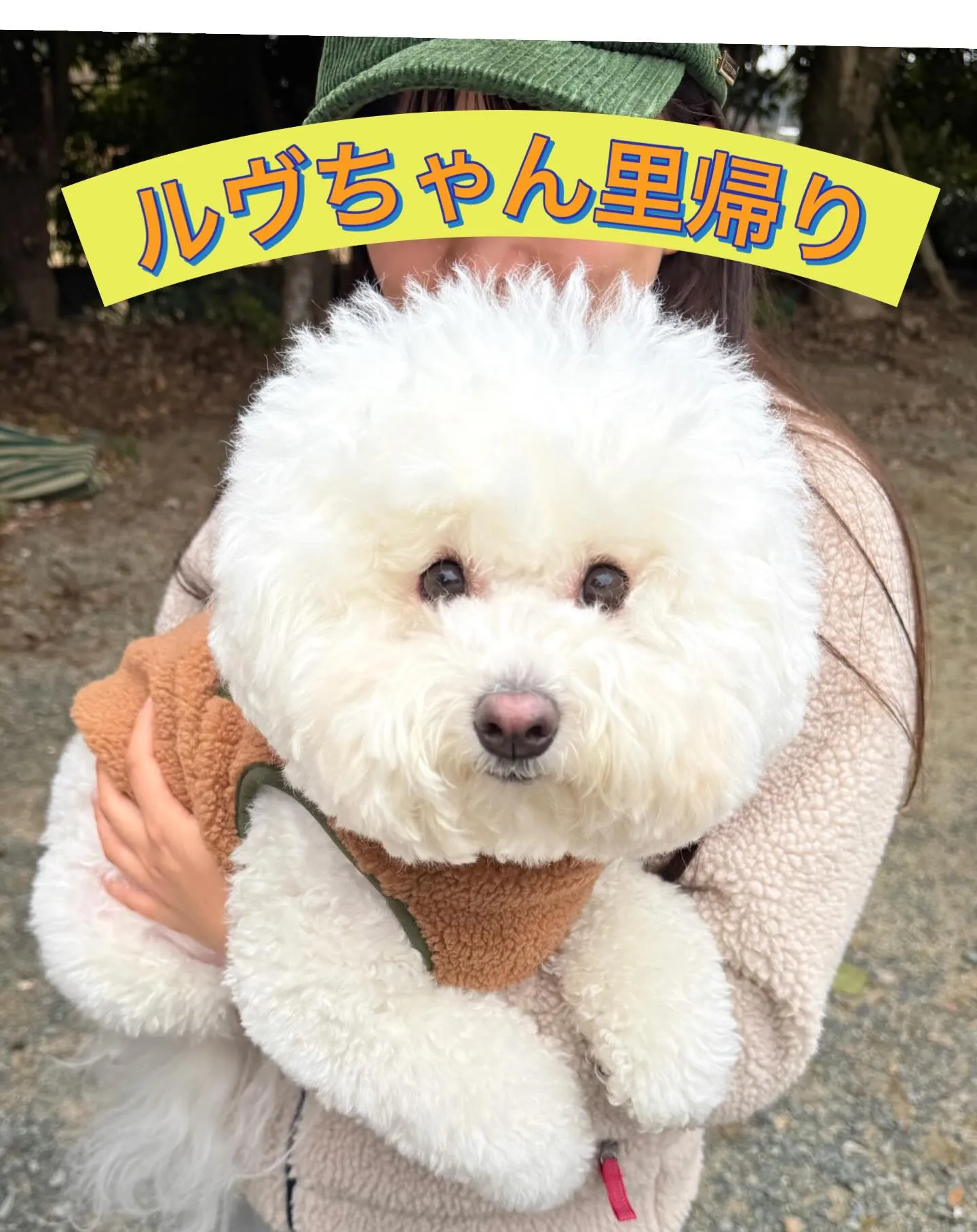 こんばんわんこ🐾