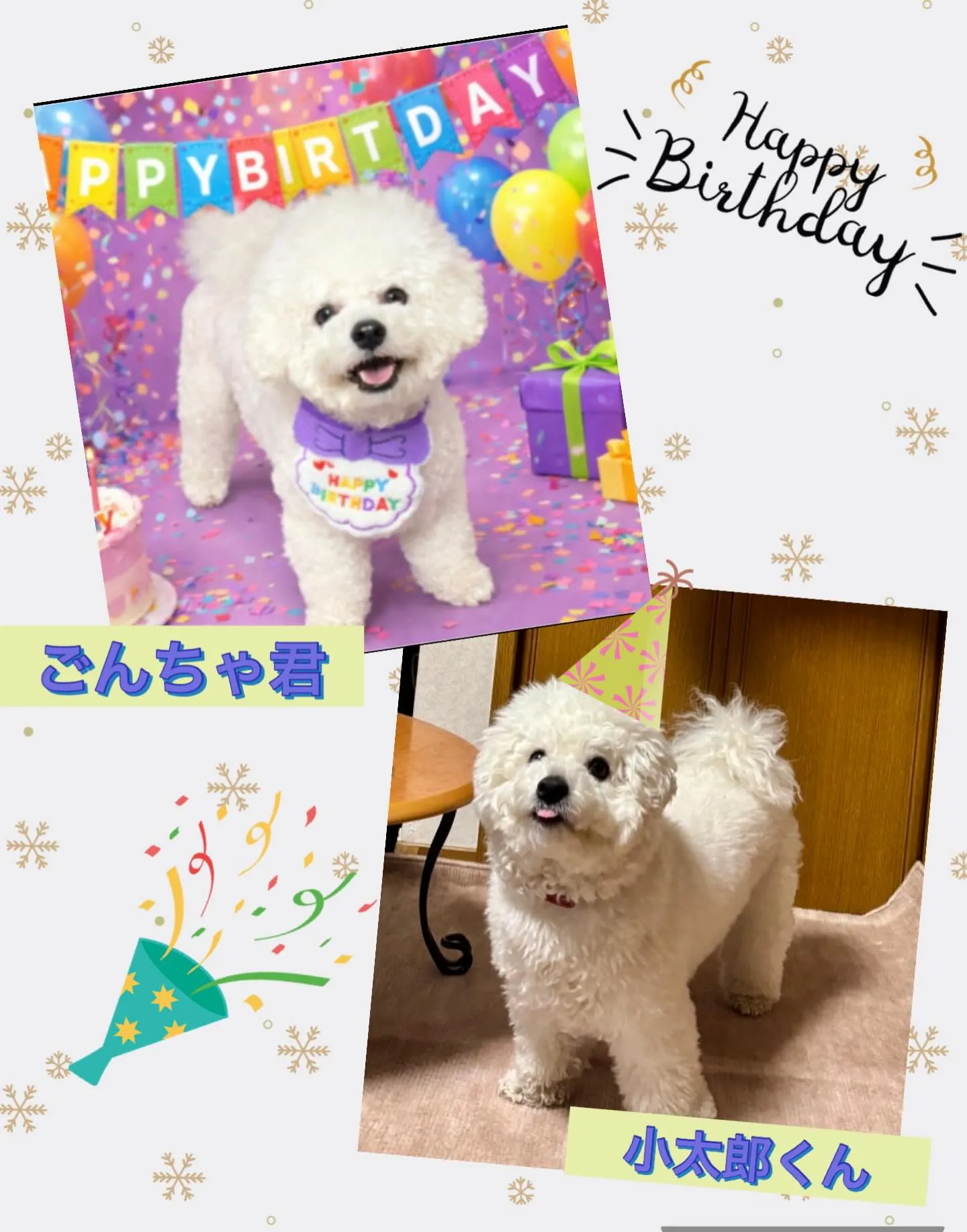 ＊＊ ごんちゃ君 ＆ 小太郎くん バースデー ＊＊