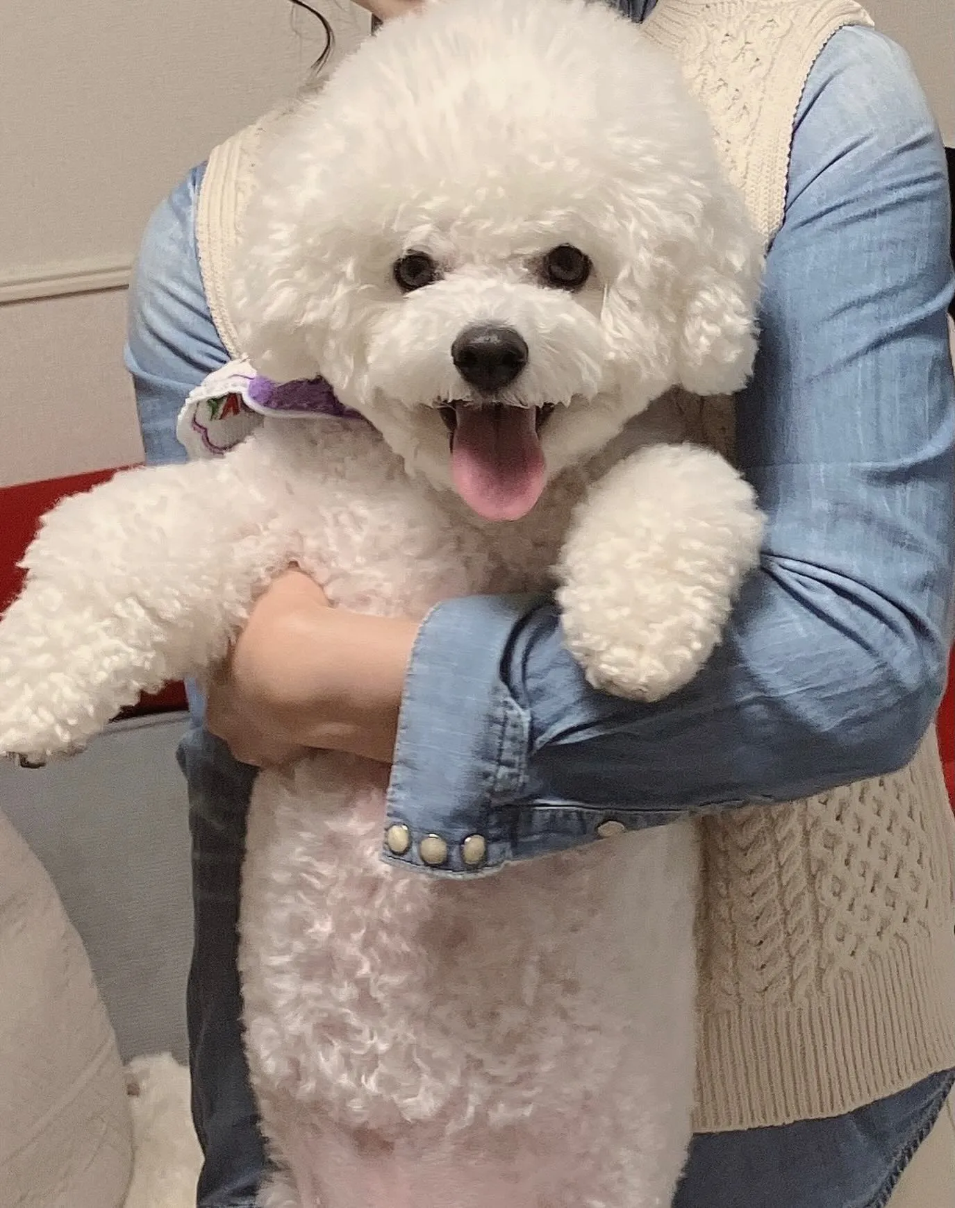 ＊＊ ごんちゃ君 ＆ 小太郎くん バースデー ＊＊