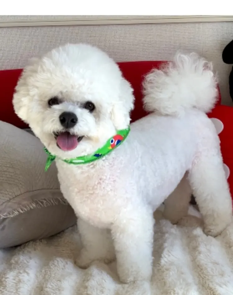 ＊＊ ごんちゃ君 ＆ 小太郎くん バースデー ＊＊