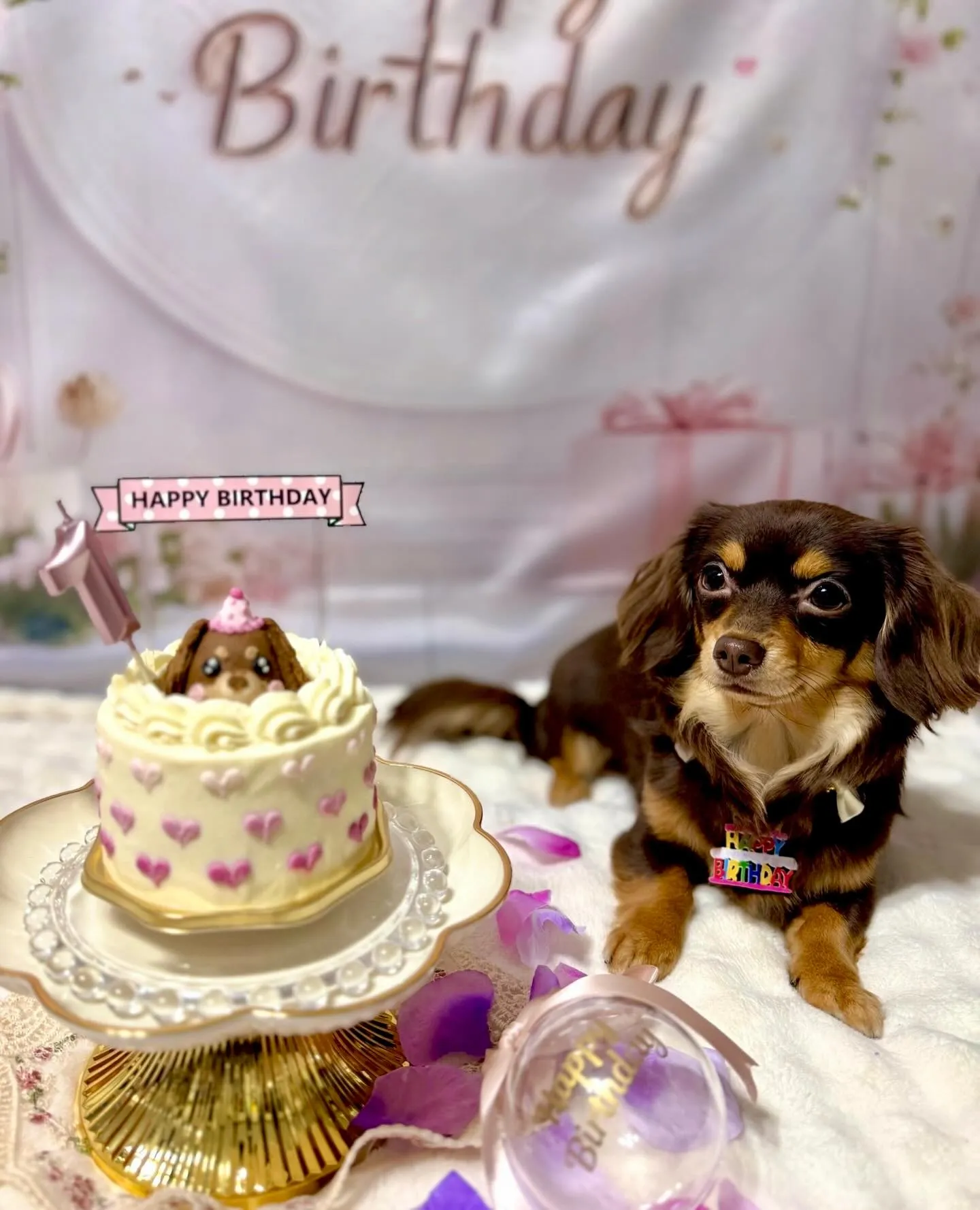 ** ララちゃんバースデー **