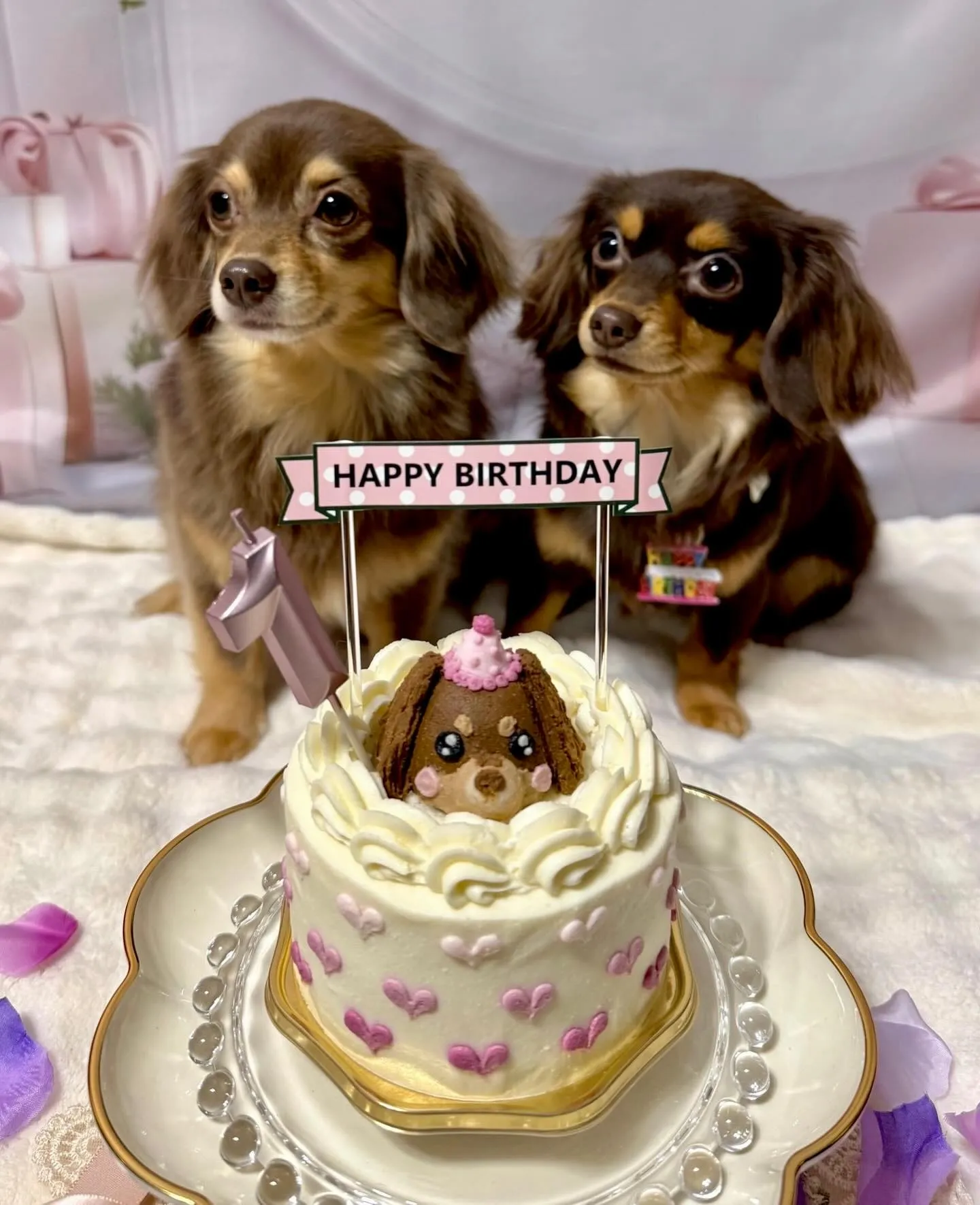 ** ララちゃんバースデー **