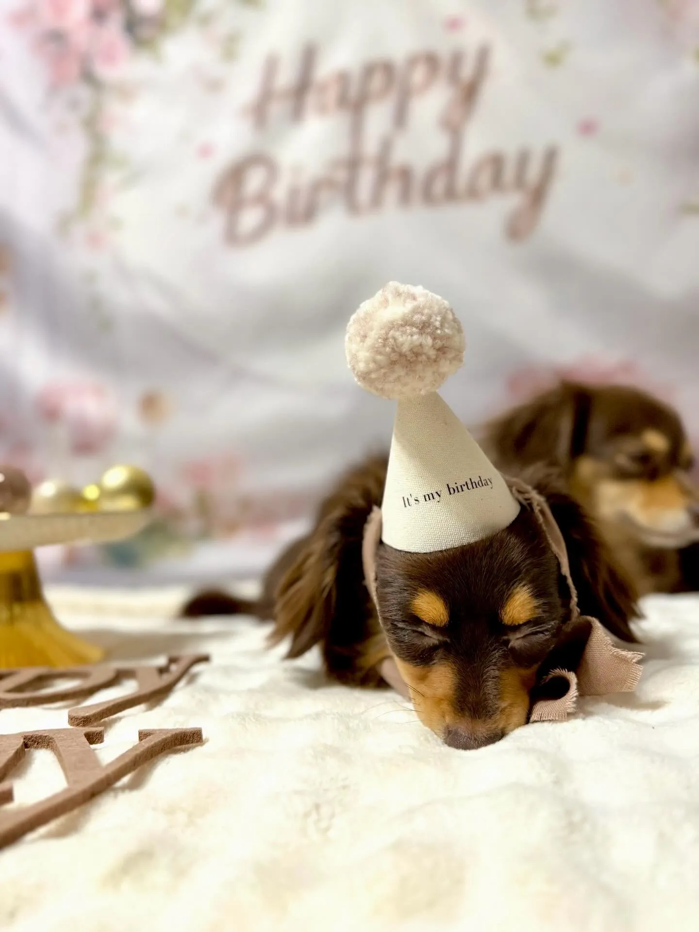 ** ララちゃんバースデー **