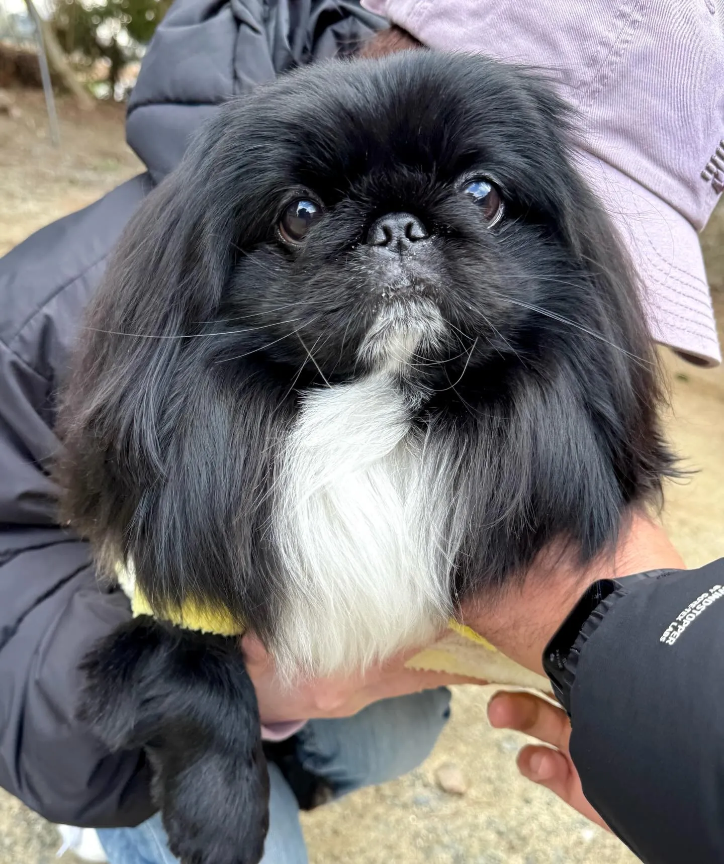 ** チェリマロ君里帰り **