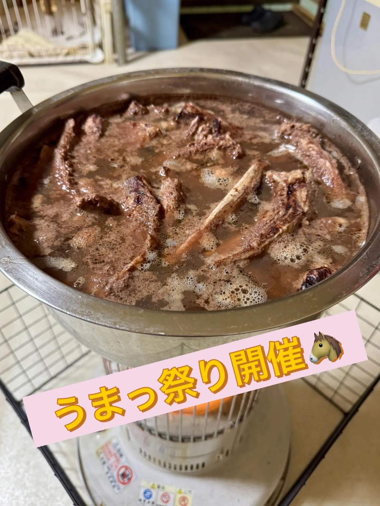 ＊＊ うまっ祭り開催🐴 ＊＊