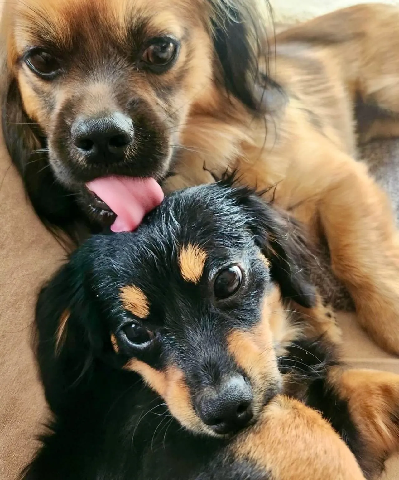 ＊＊ ブン太くん バースデー ＊＊