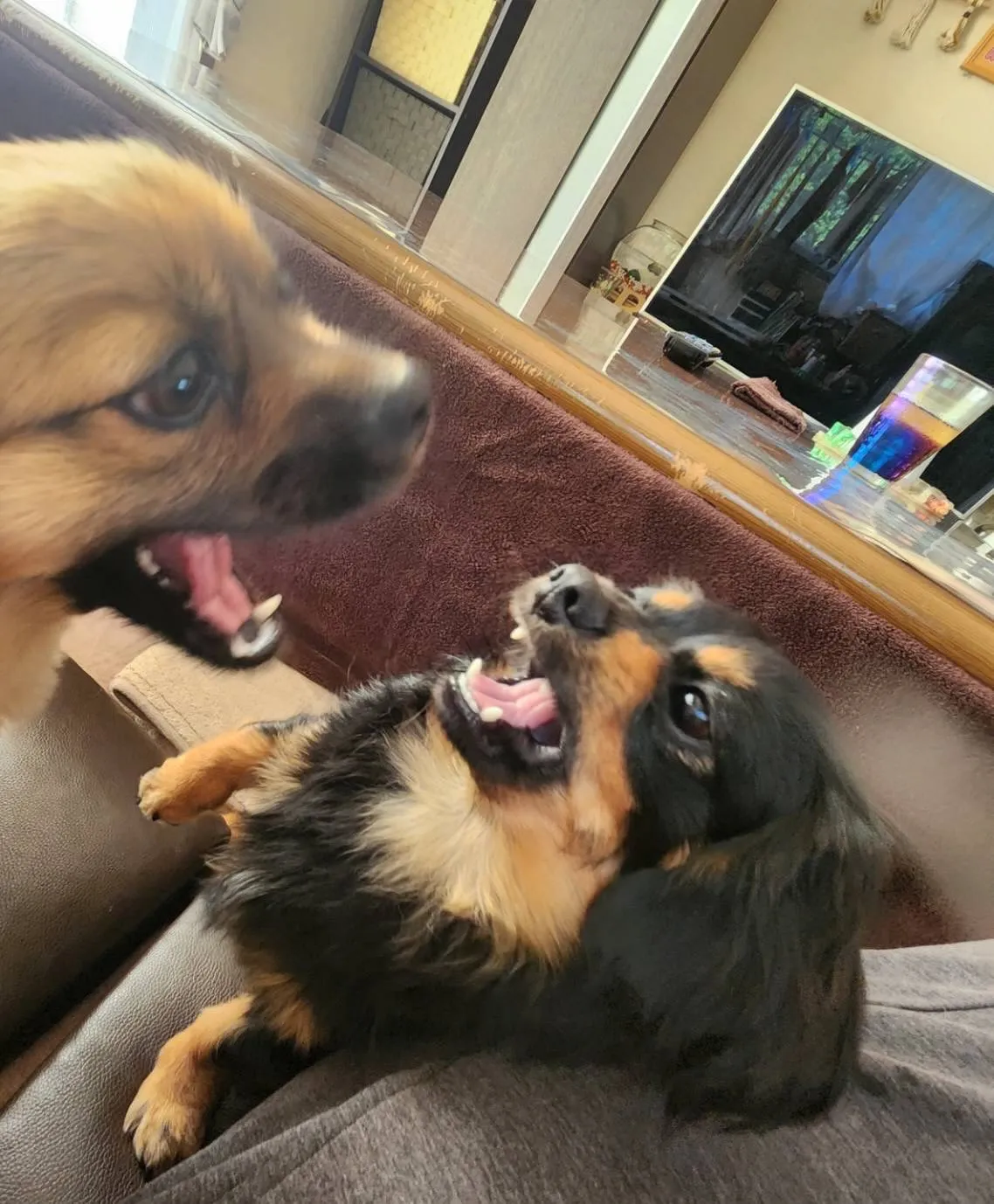 ＊＊ ブン太くん バースデー ＊＊