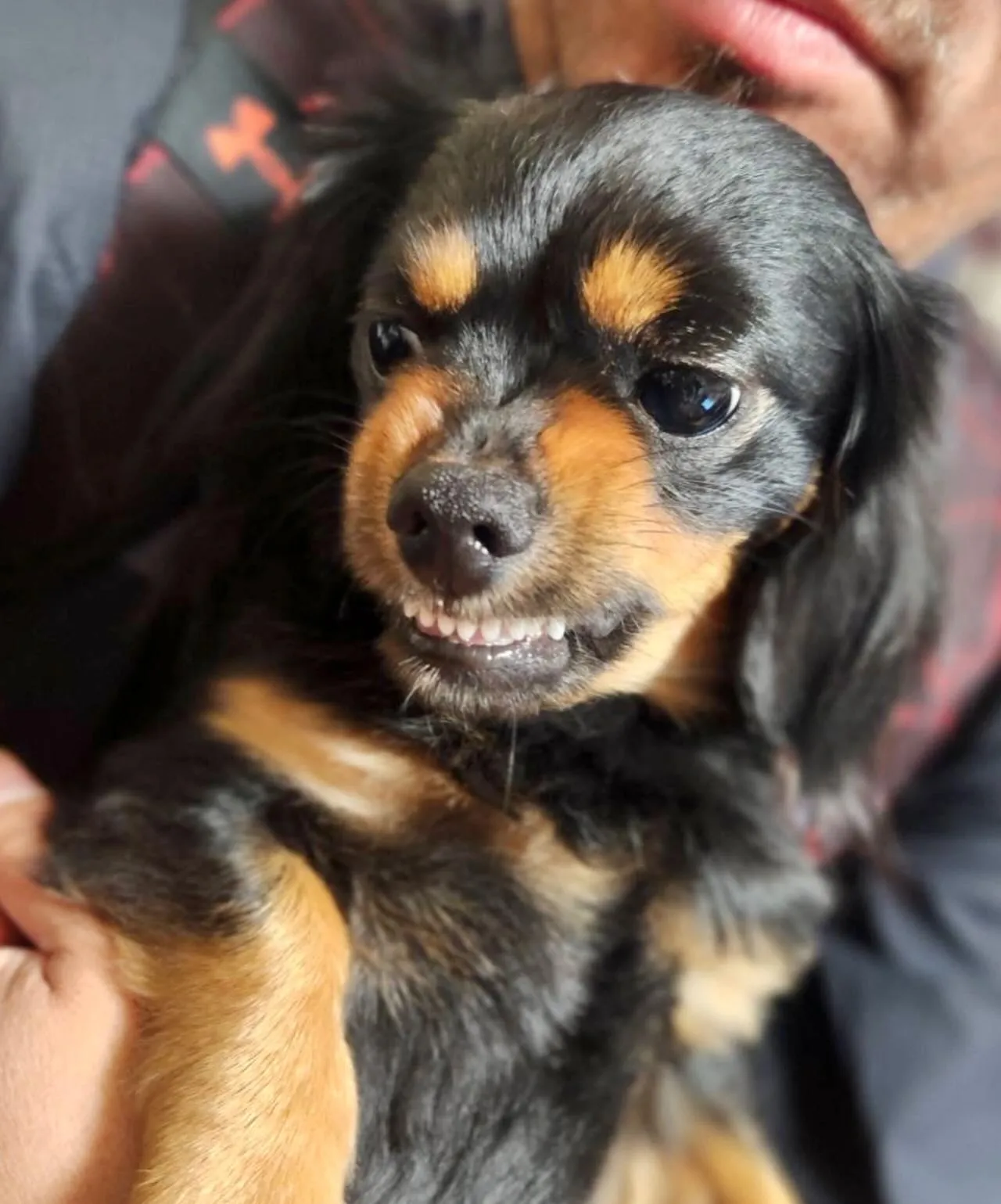 ＊＊ ブン太くん バースデー ＊＊