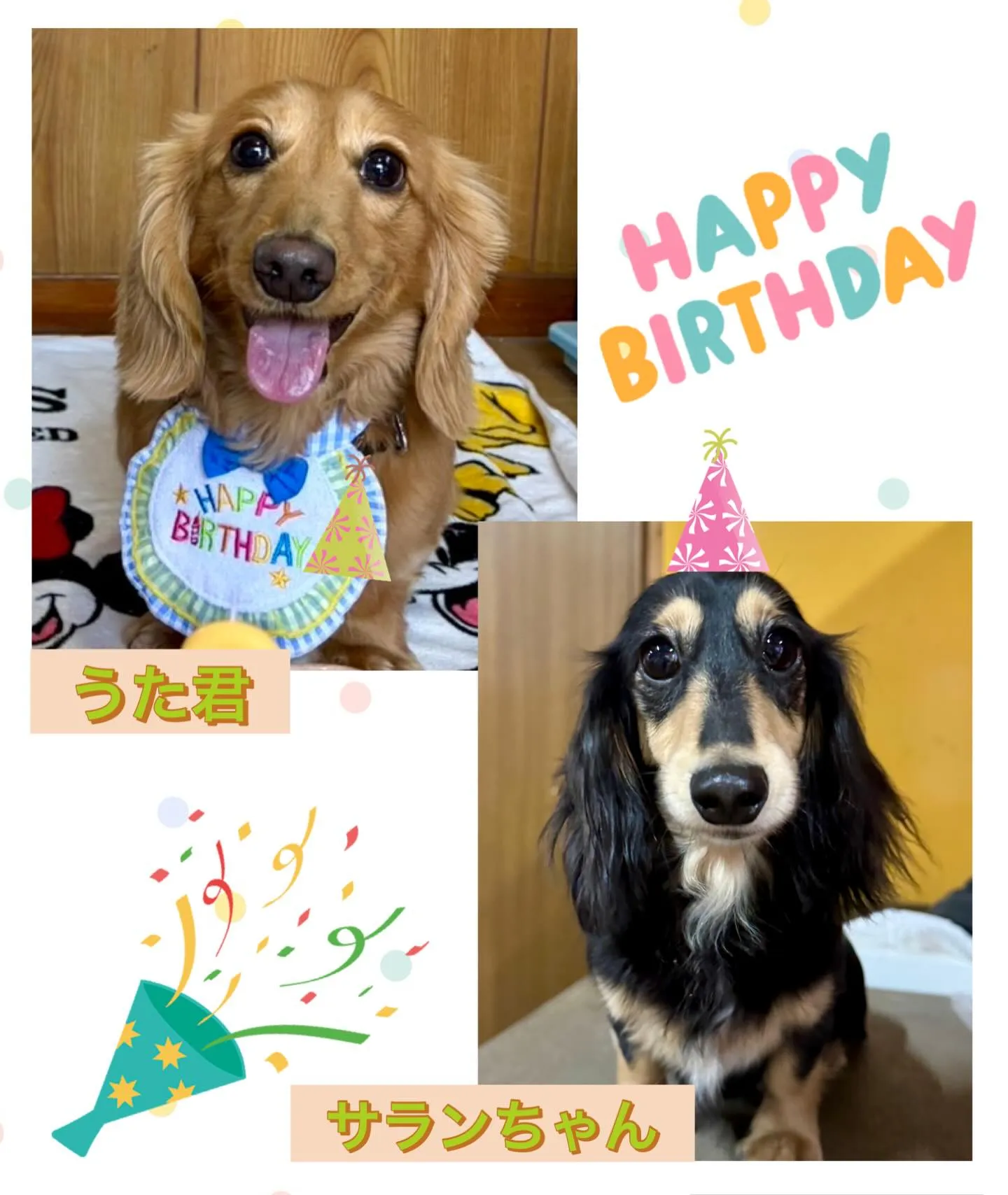 ＊＊ うた君＆サラン バースデー ＊＊
