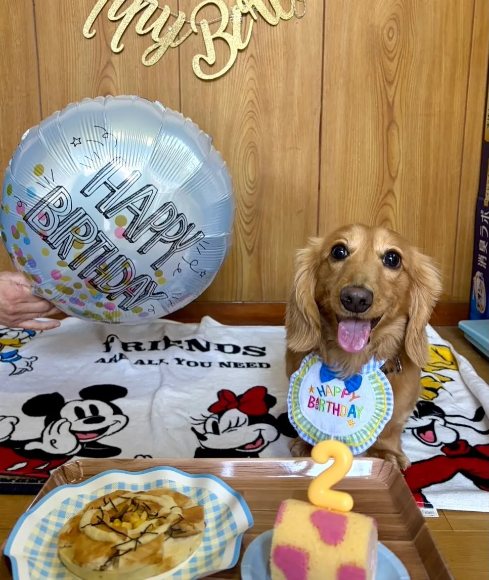 ＊＊ うた君＆サラン バースデー ＊＊