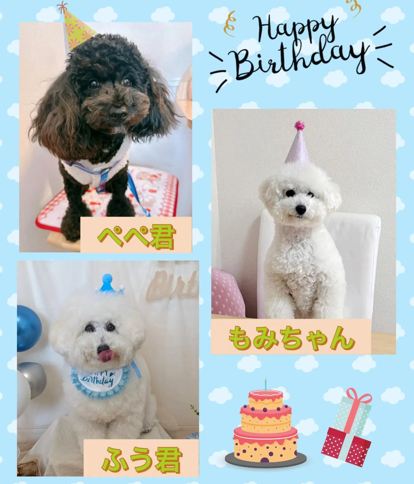 ＊＊ ビションプー3兄妹 バースデー ＊＊