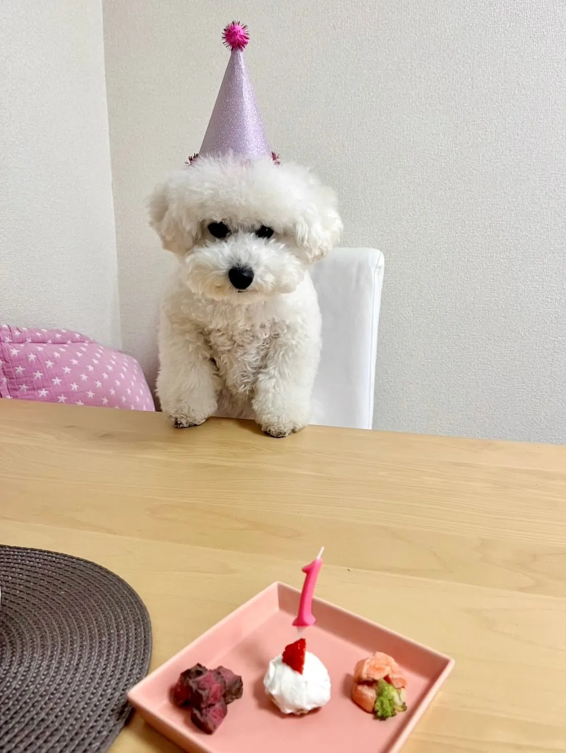 ＊＊ ビションプー3兄妹 バースデー ＊＊