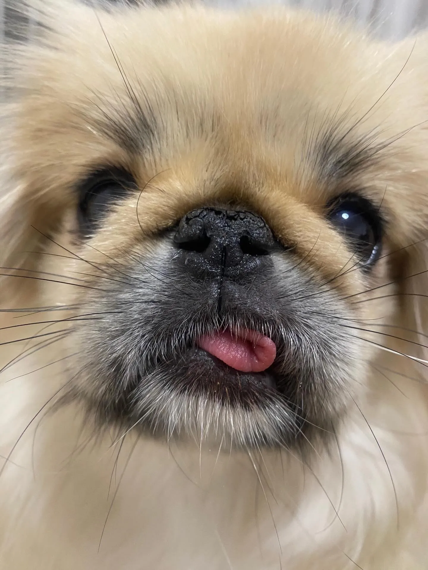 ** ペキ丸ママ 海デビュー **