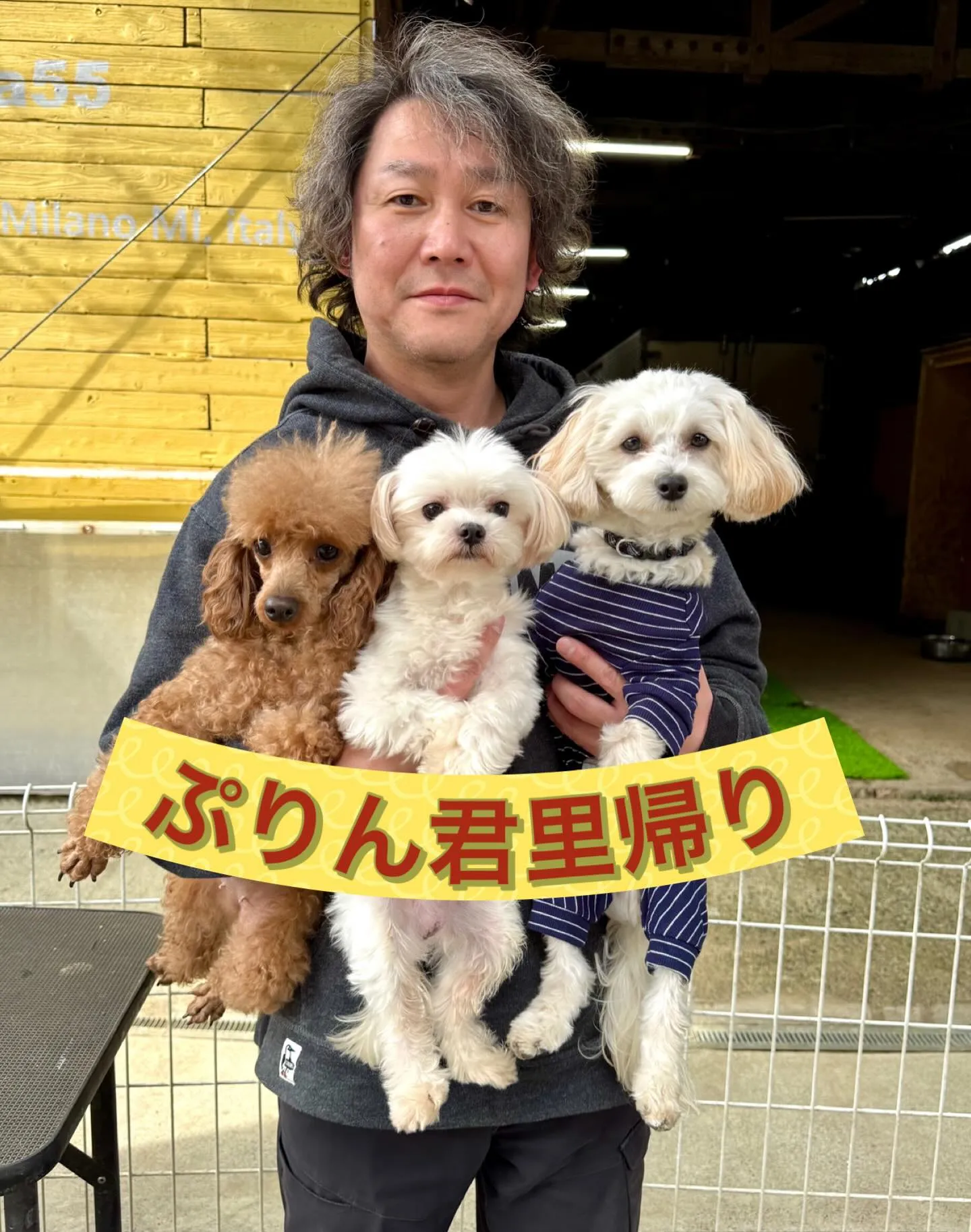 ＊＊ ぷりん君里帰り ＊＊