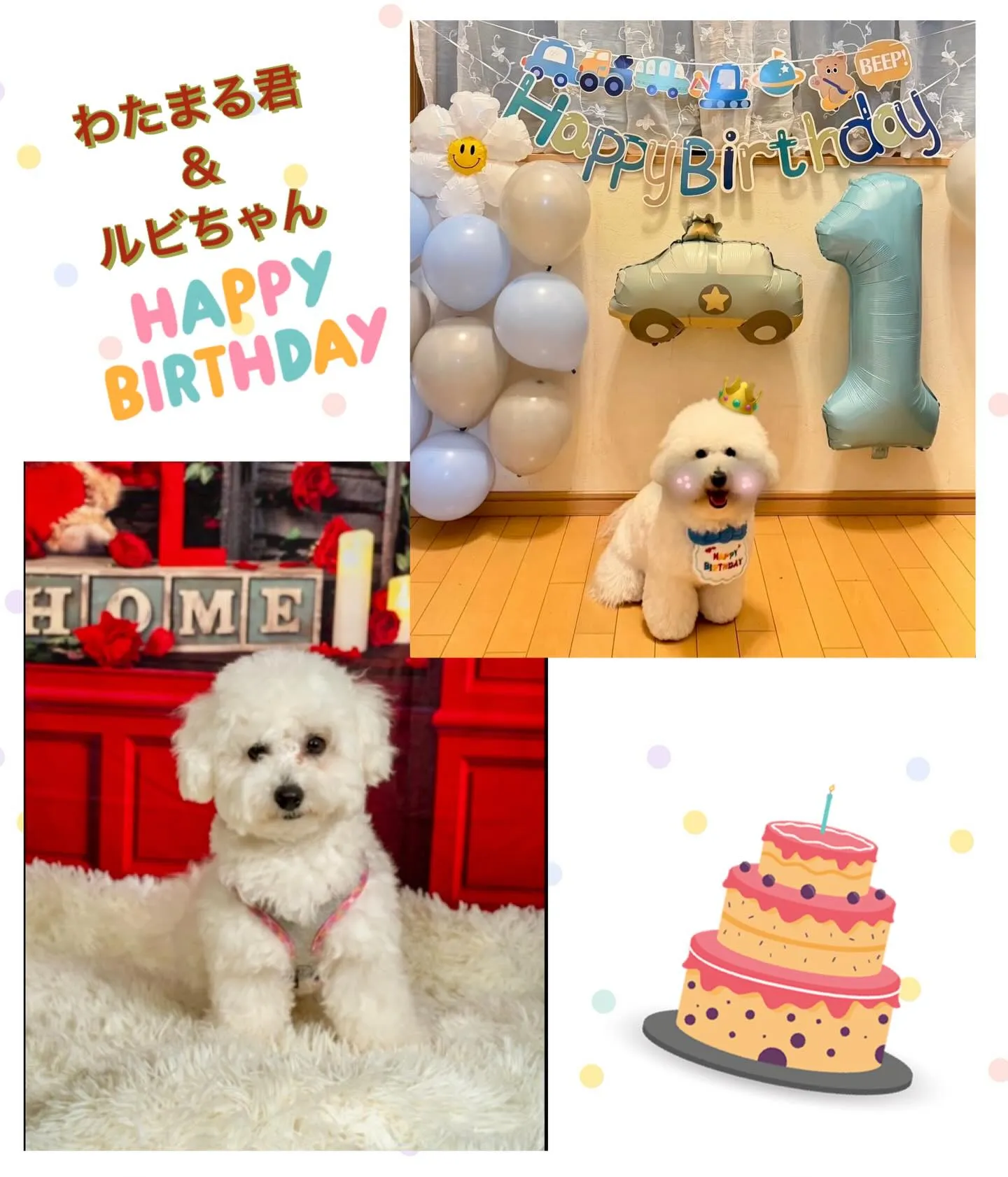 ** わたまる君&ルビちゃん バースデー **