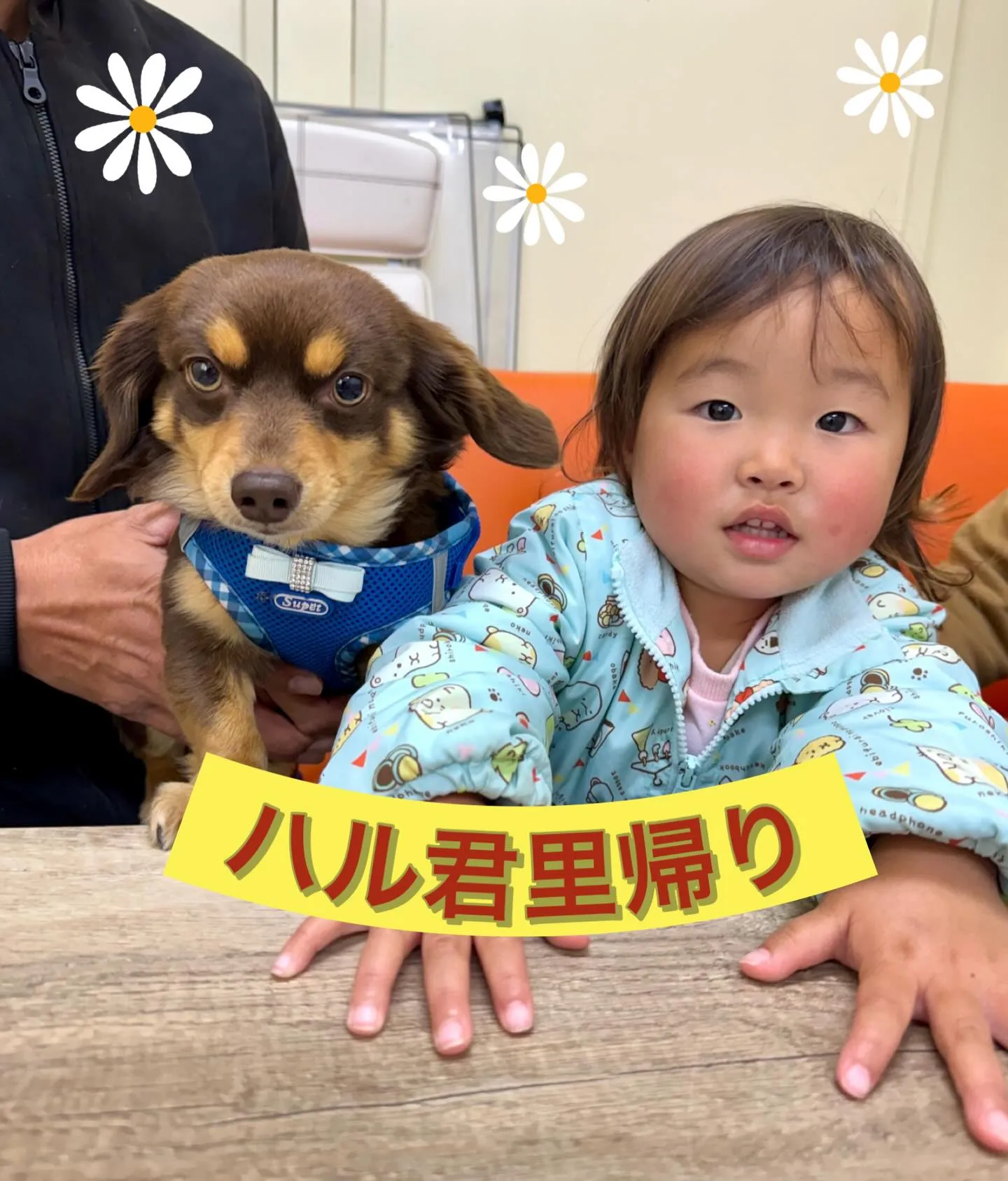 ＊＊ ハル君里帰り ＊＊