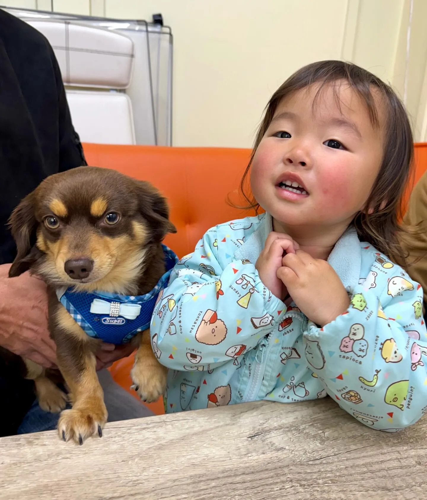 ＊＊ ハル君里帰り ＊＊