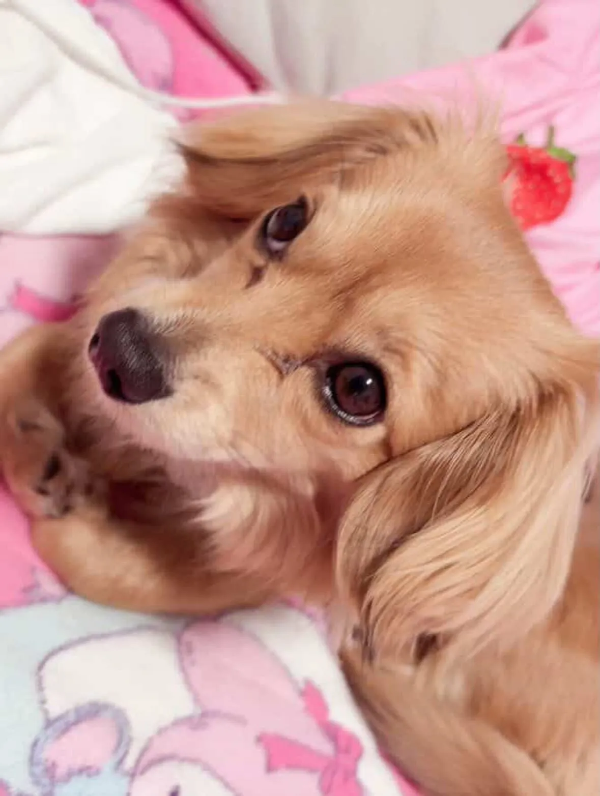 ＊＊ そら君バースデー ＊＊