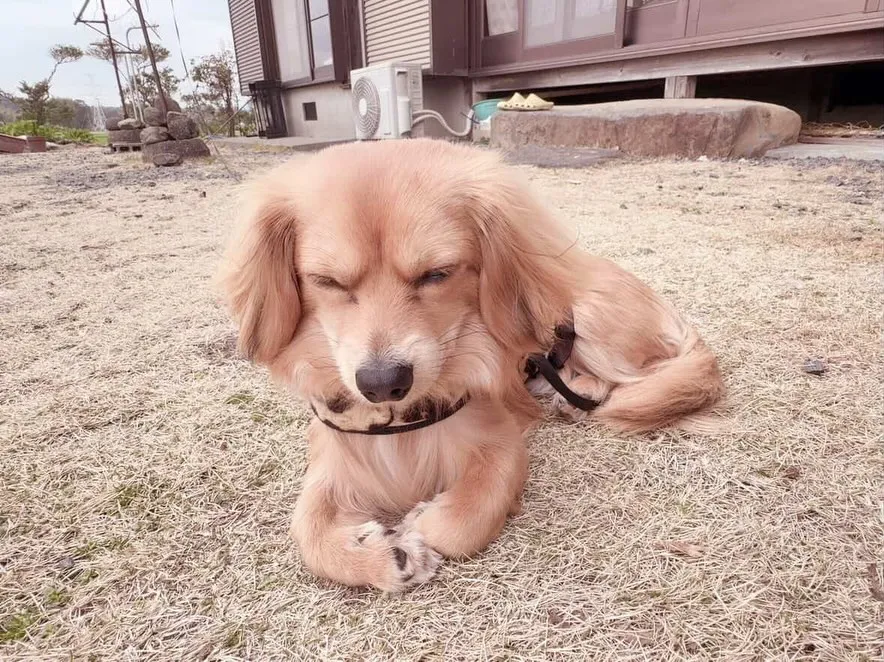 ＊＊ そら君バースデー ＊＊