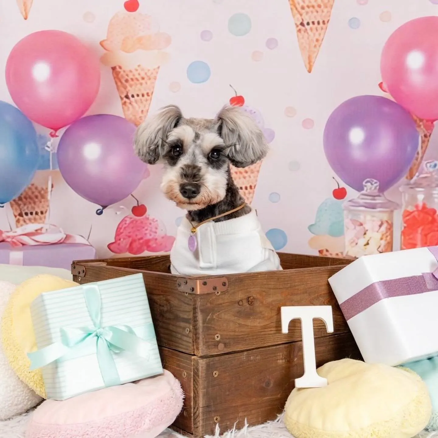 ** トモ君バースデーフォト **