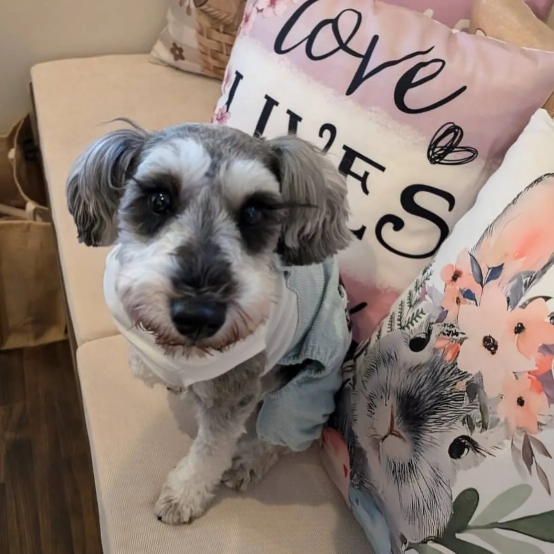 ** トモ君バースデーフォト **