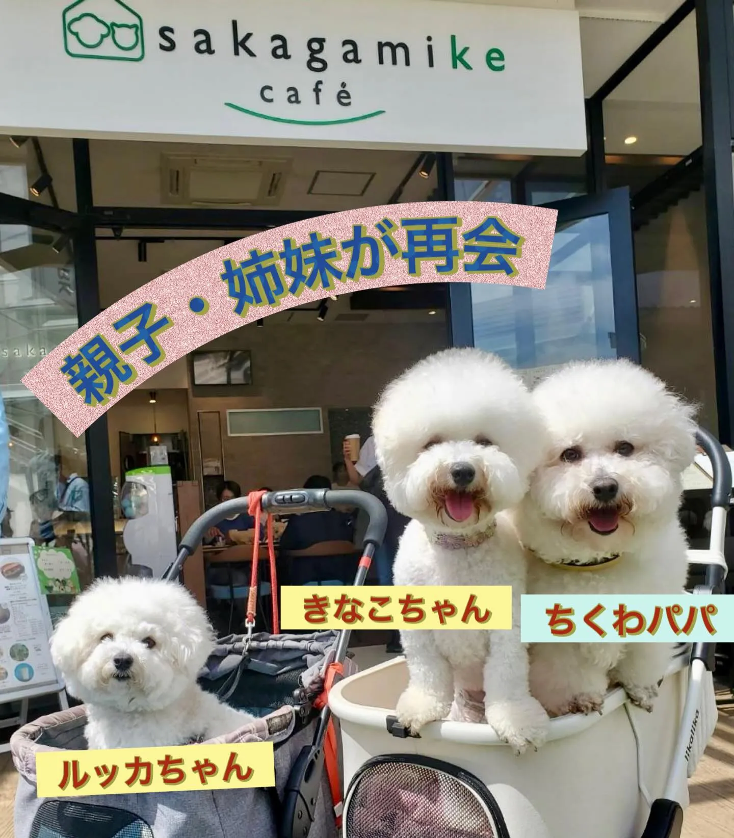 ＊＊ 素敵な繋がり ＊＊