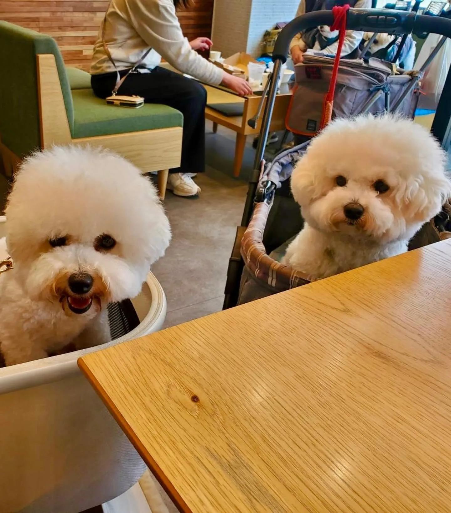 ＊＊ 素敵な繋がり ＊＊