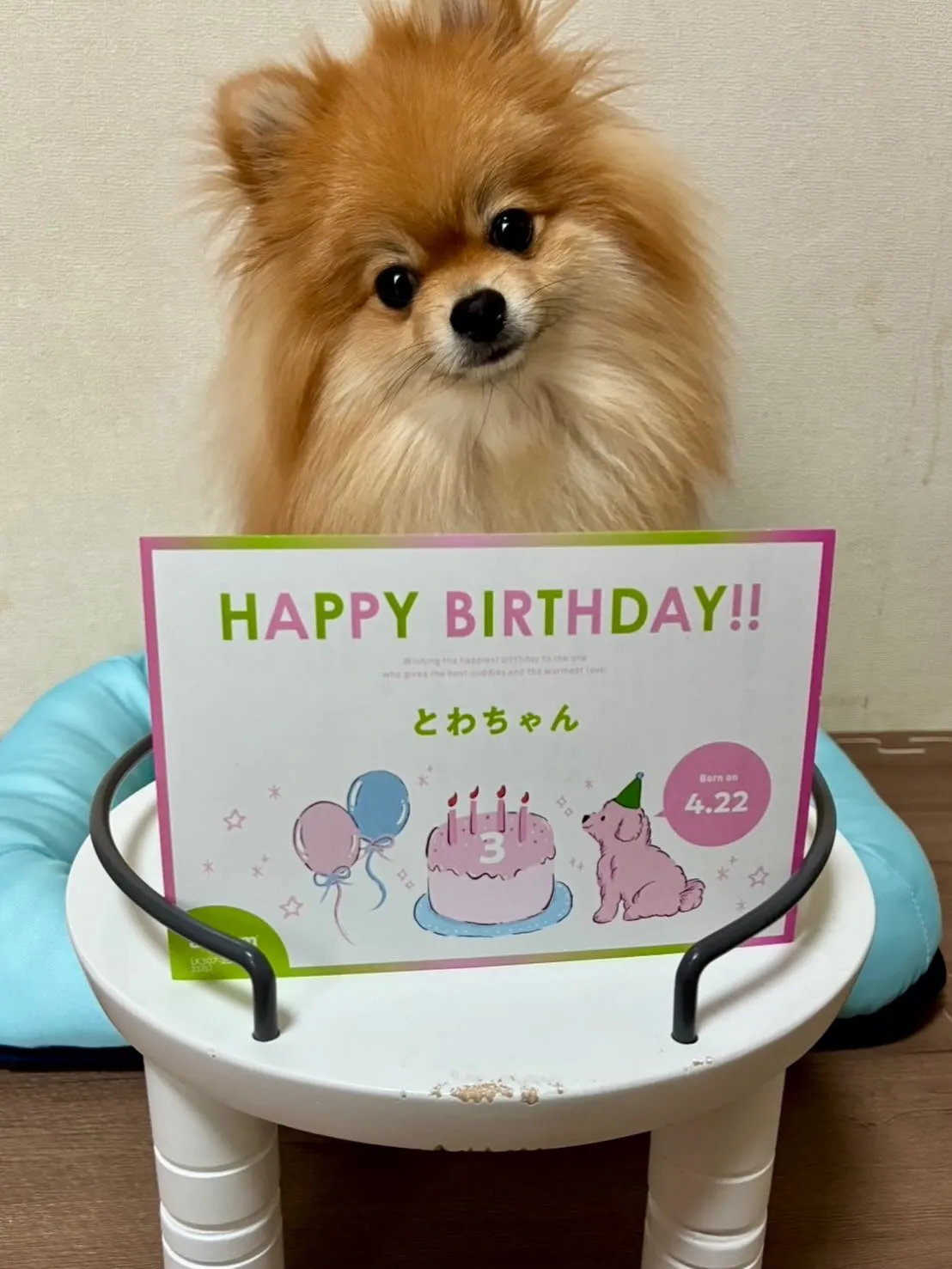 ＊＊ とわ君 バースデー ＊＊