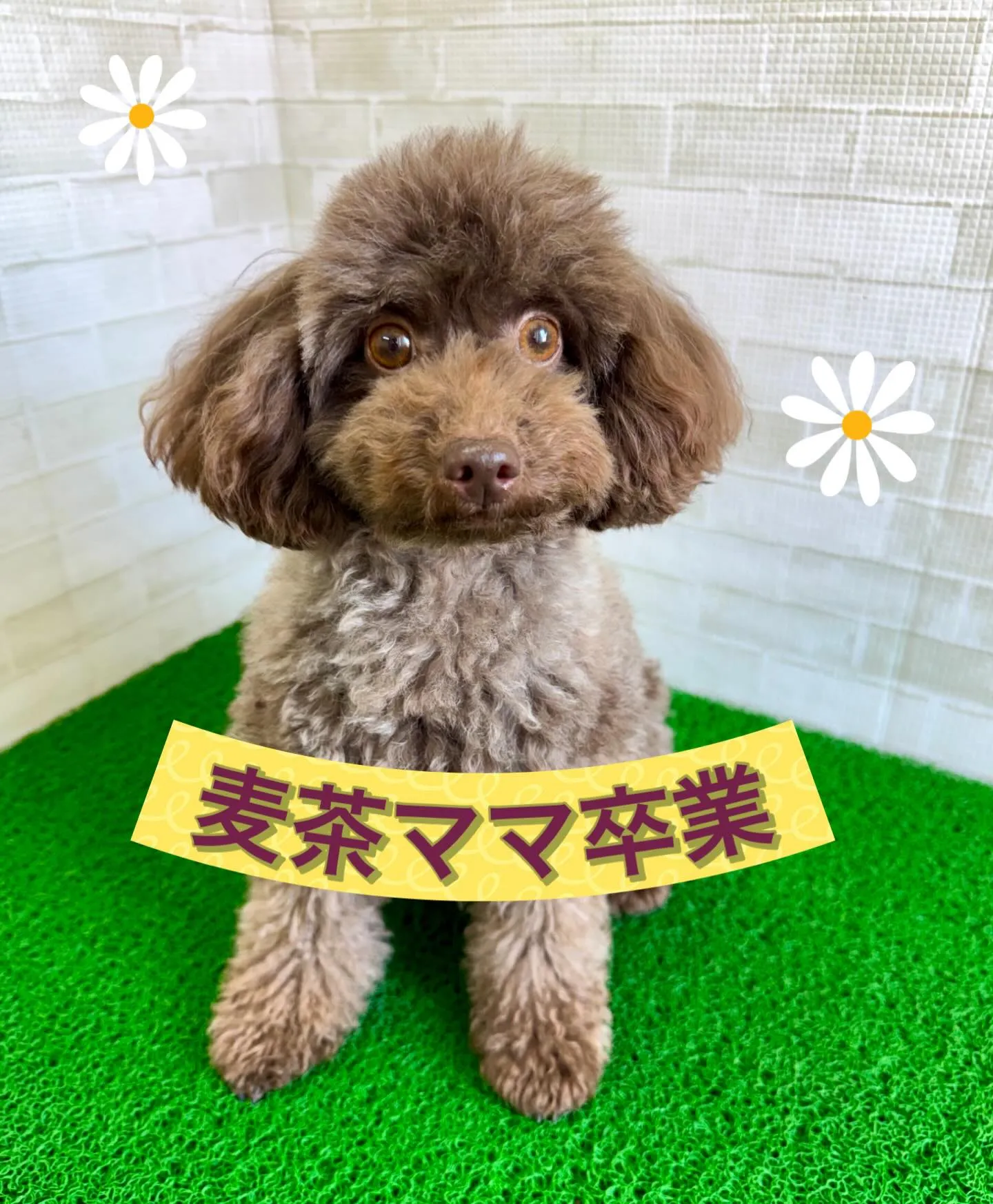 ＊＊ 麦茶ママ卒業 ＊＊