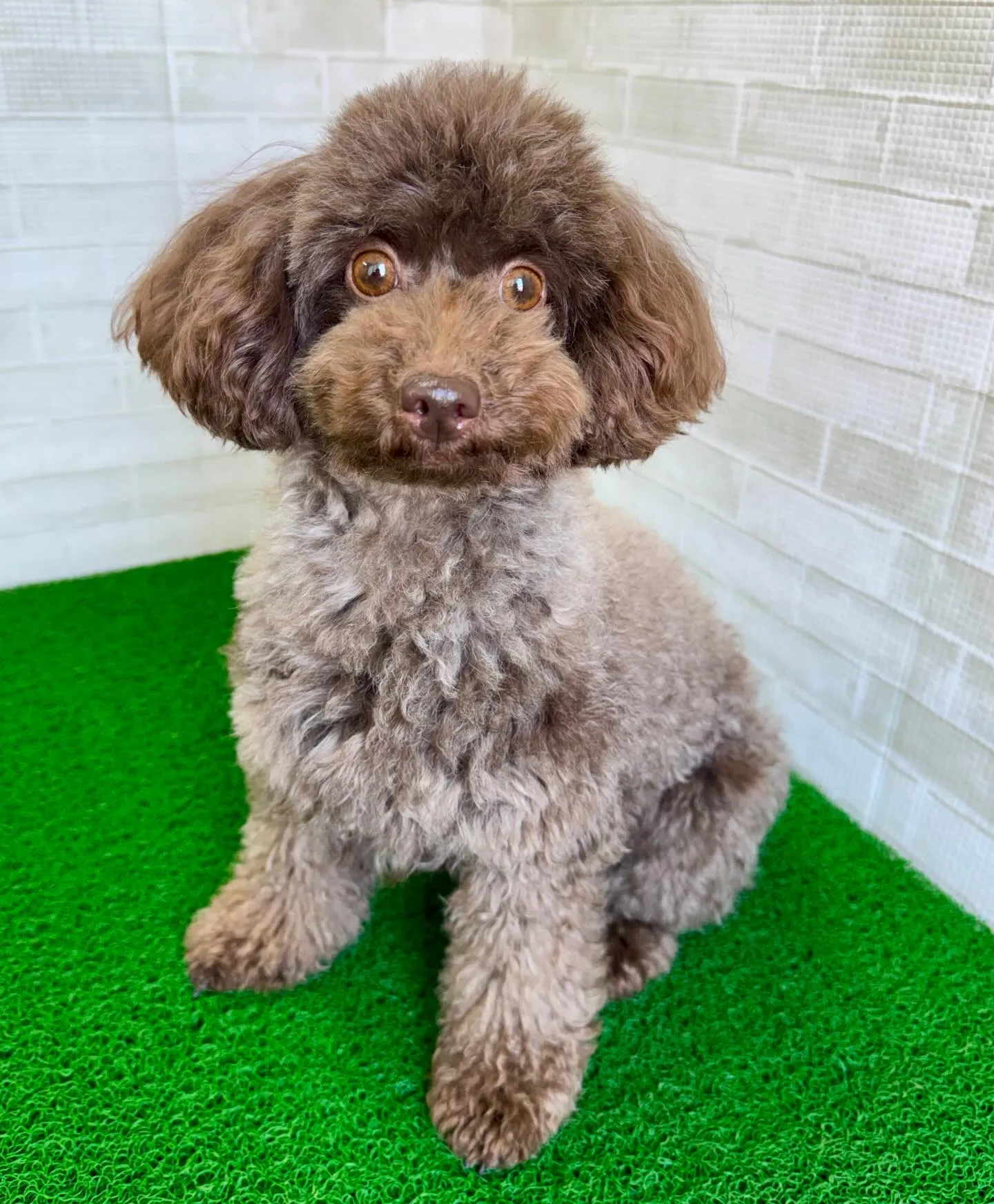 ＊＊ 麦茶ママ卒業 ＊＊