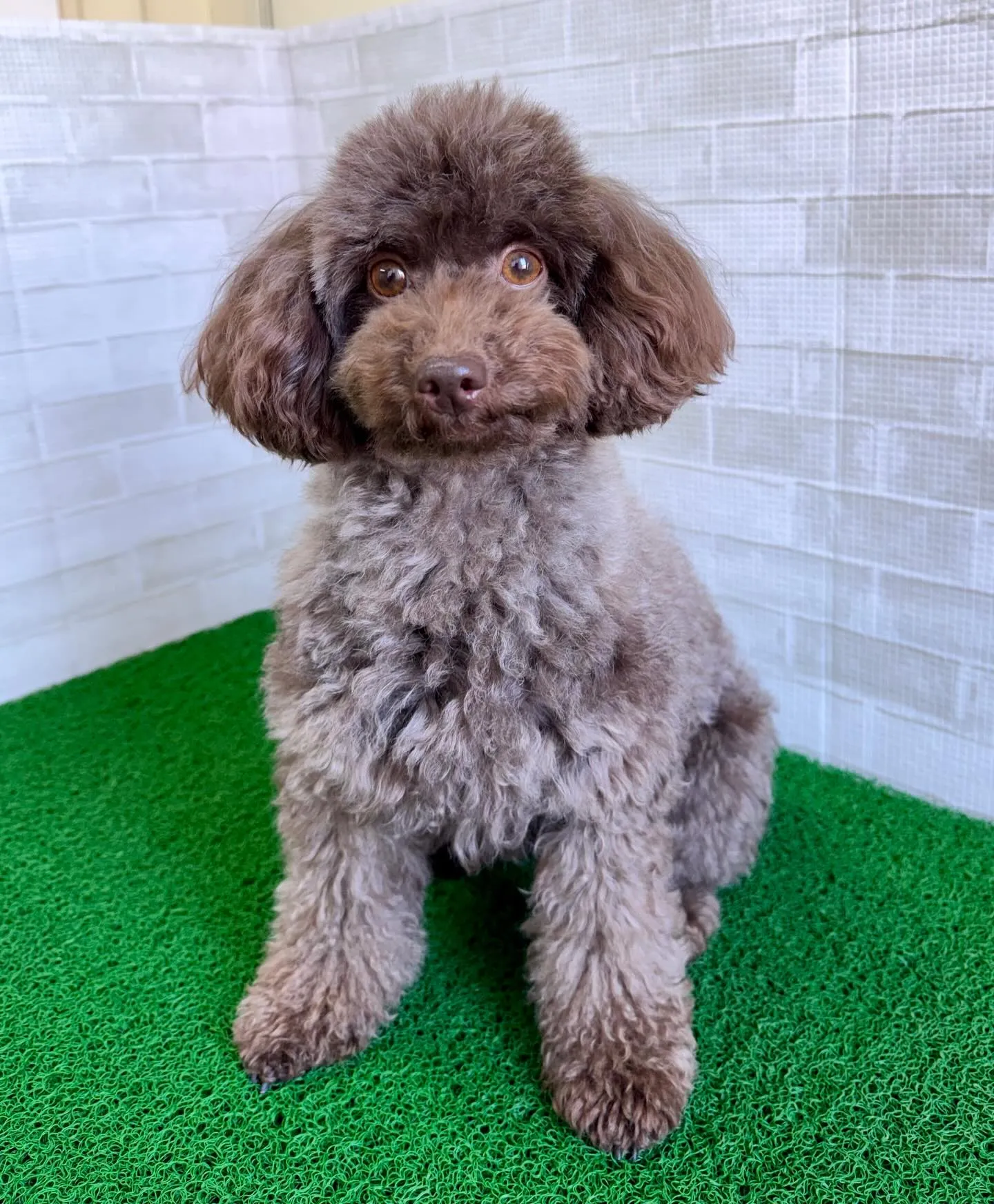 ＊＊ 麦茶ママ卒業 ＊＊