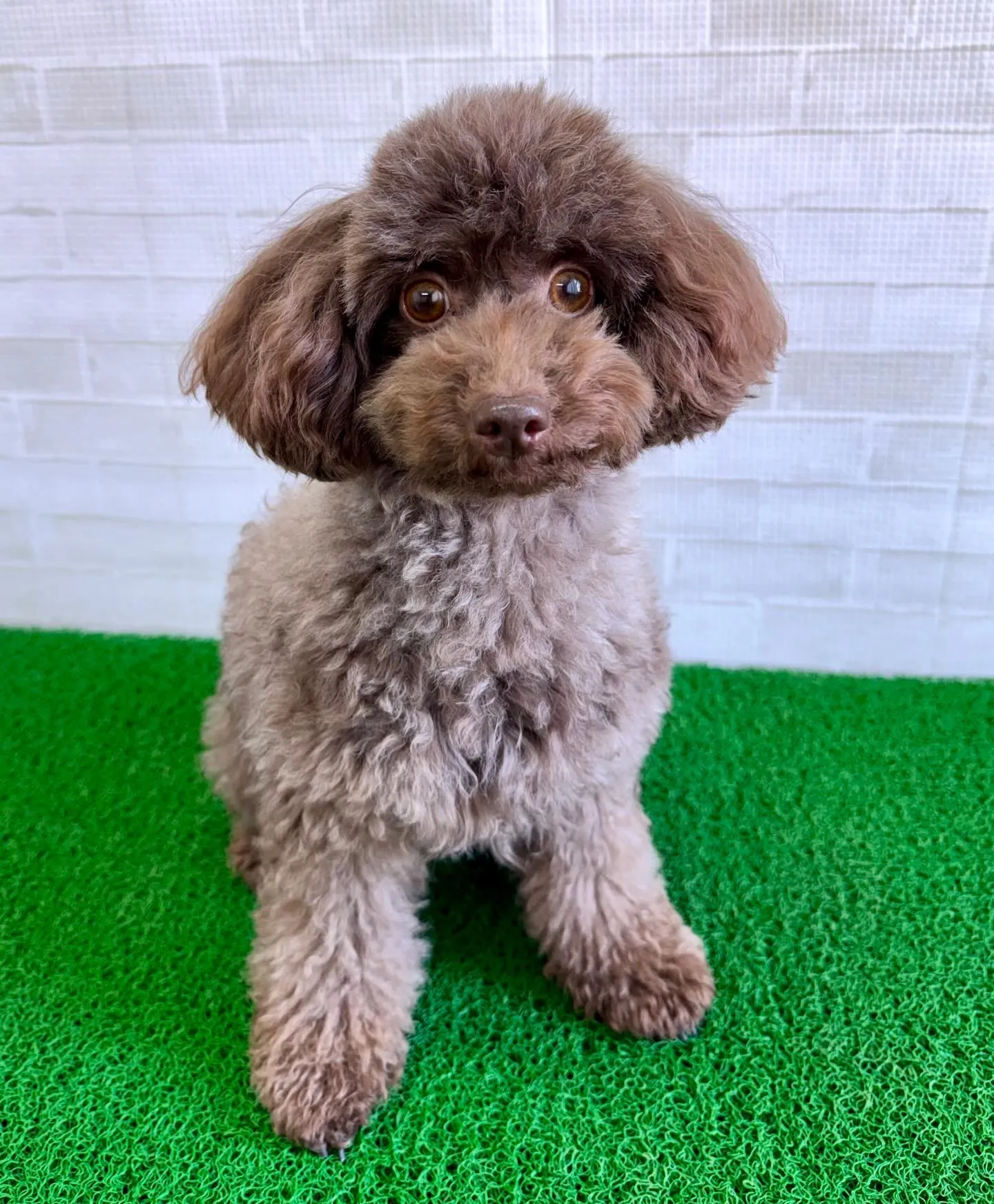 ＊＊ 麦茶ママ卒業 ＊＊