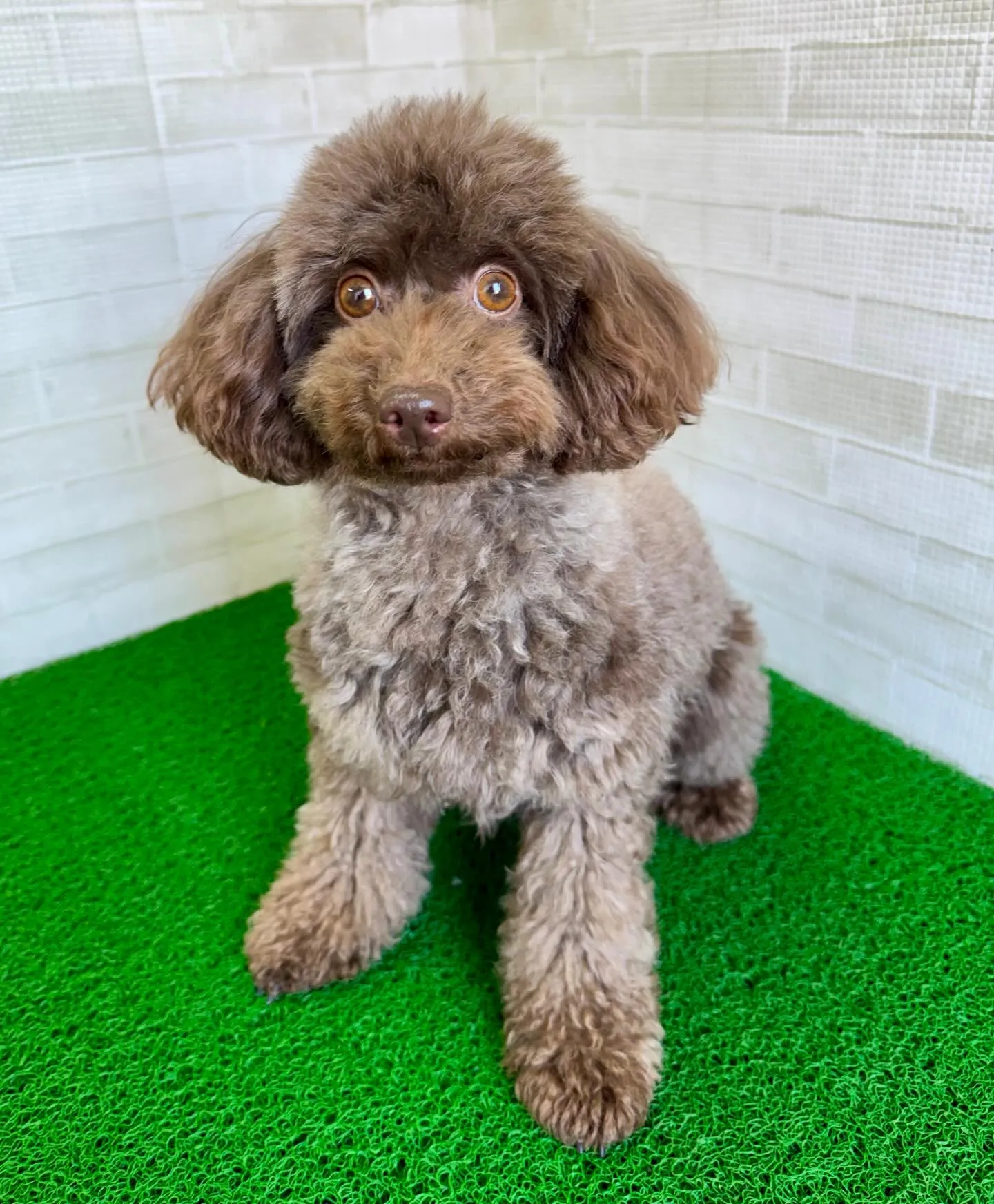 ＊＊ 麦茶ママ卒業 ＊＊