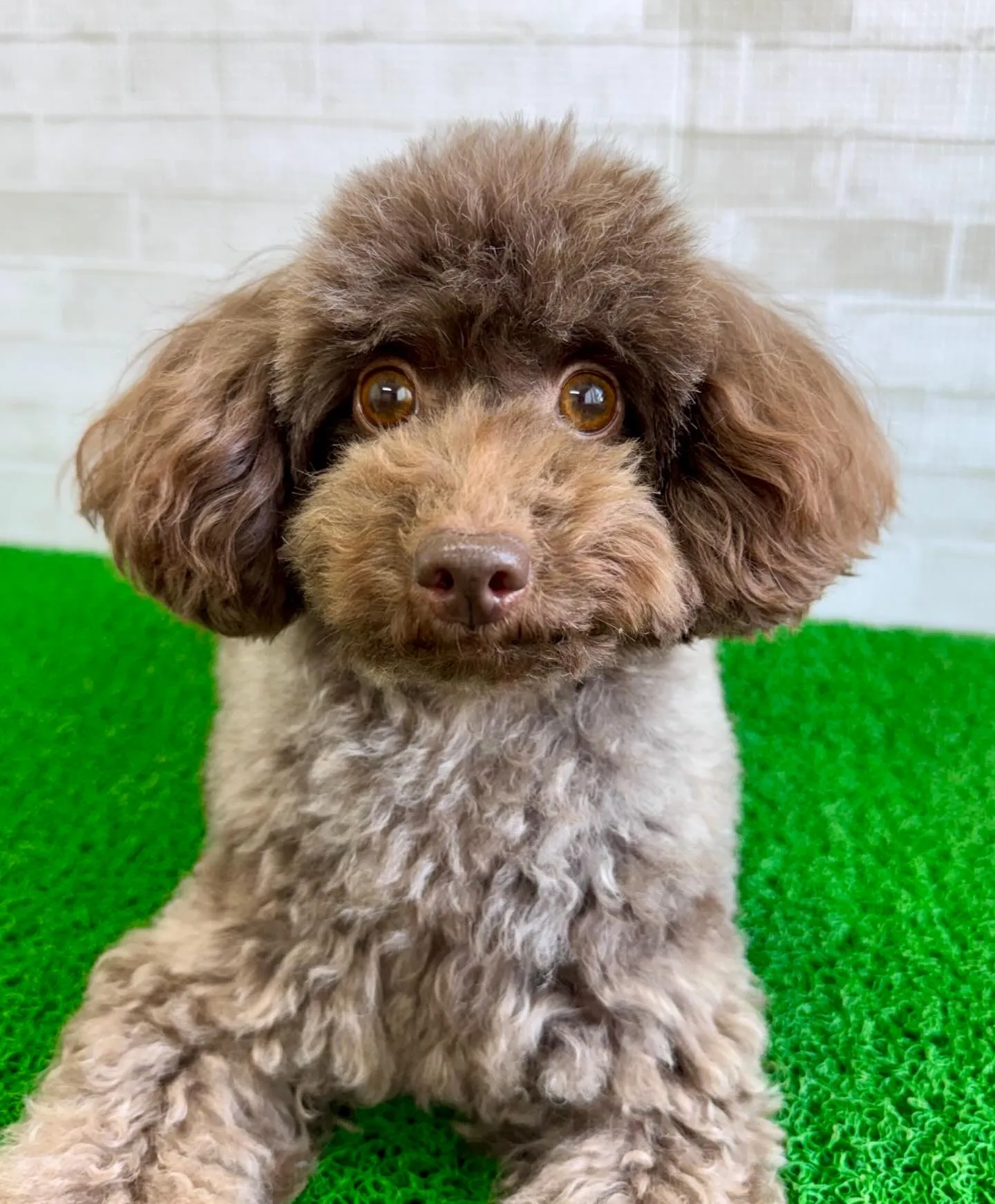 ＊＊ 麦茶ママ卒業 ＊＊