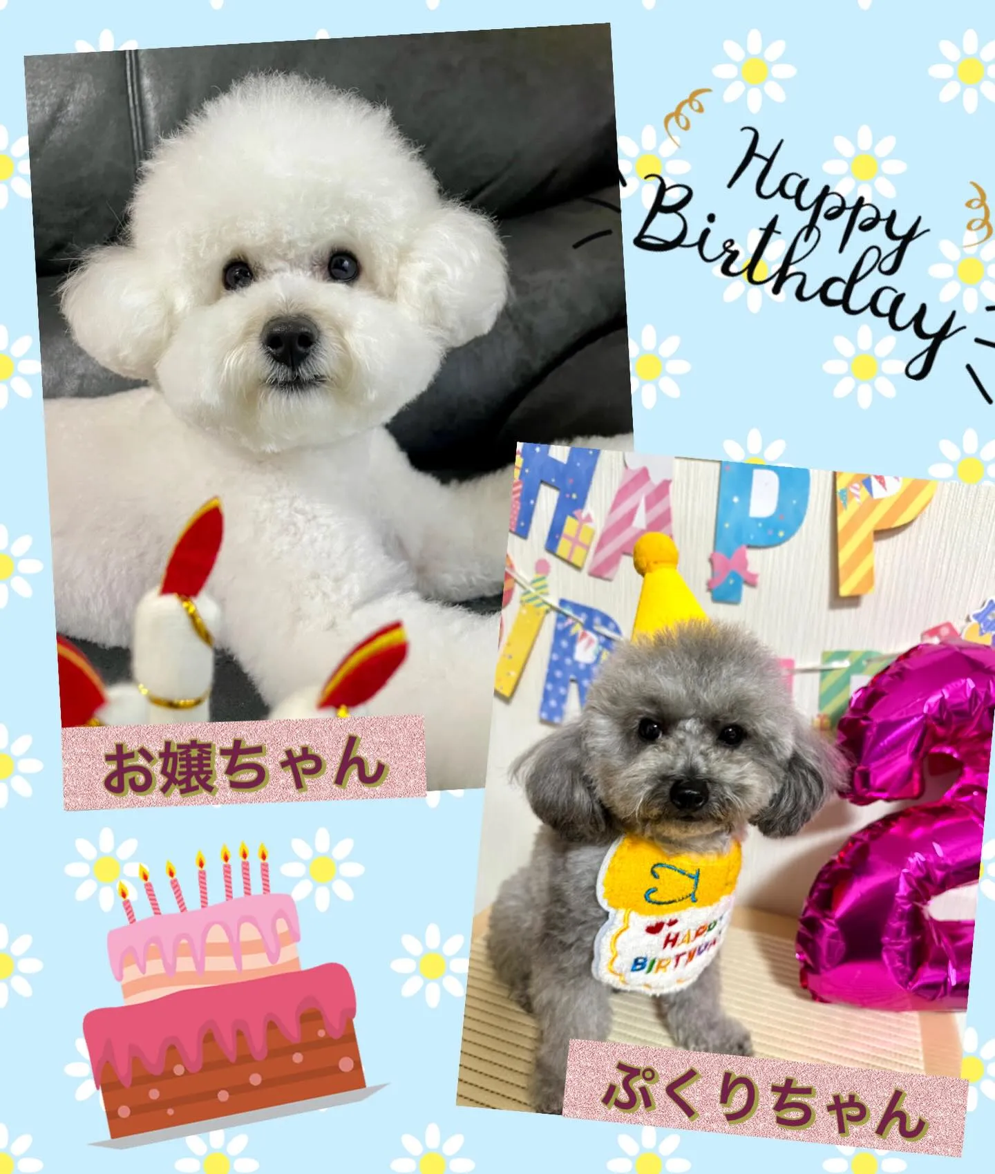 ＊＊ お嬢ちゃん＆ぷくりちゃん バースデー ＊＊