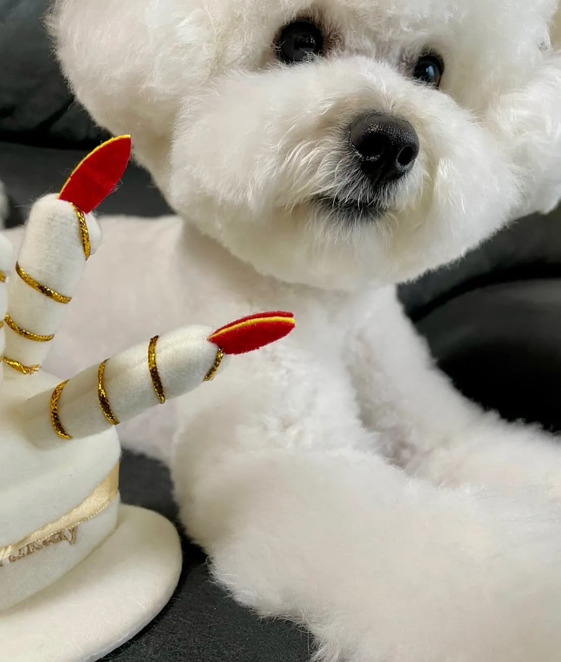 ＊＊ お嬢ちゃん＆ぷくりちゃん バースデー ＊＊