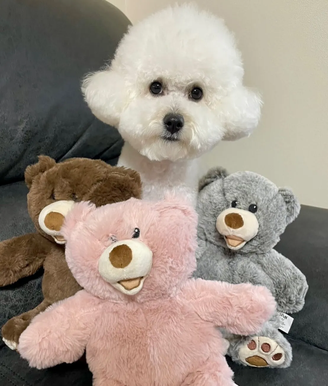 ＊＊ お嬢ちゃん＆ぷくりちゃん バースデー ＊＊