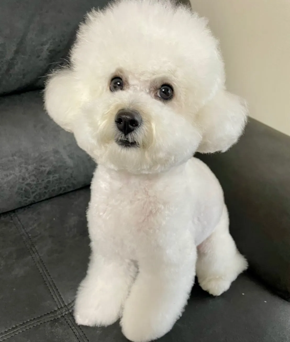 ＊＊ お嬢ちゃん＆ぷくりちゃん バースデー ＊＊