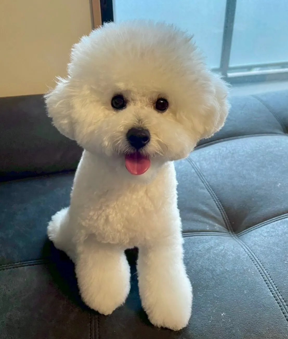 ＊＊ お嬢ちゃん＆ぷくりちゃん バースデー ＊＊