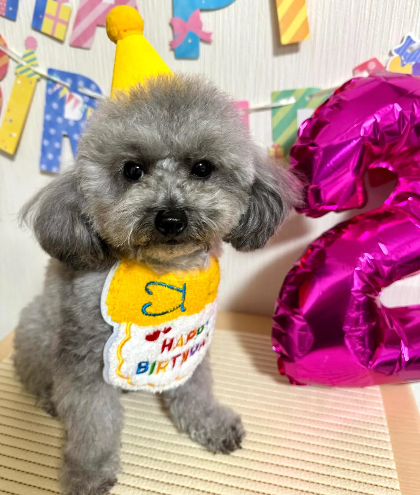 ＊＊ お嬢ちゃん＆ぷくりちゃん バースデー ＊＊