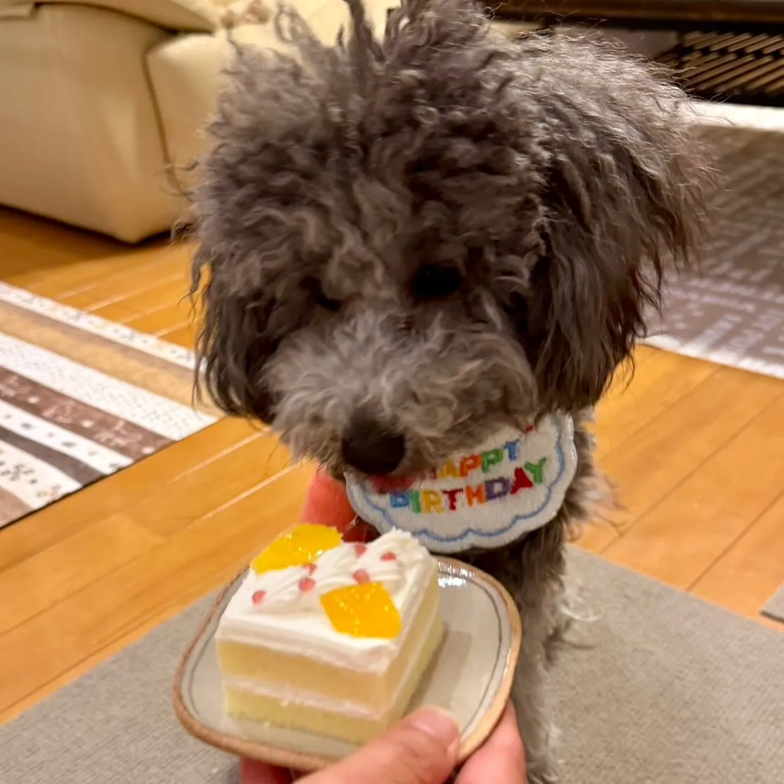 ＊＊ ルーク君 バースデー ＊＊
