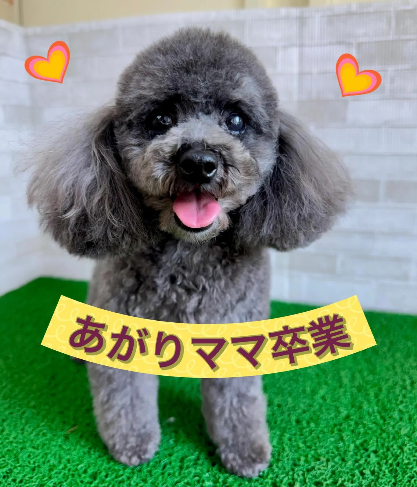 ＊＊ あがりママ卒業 ＊＊