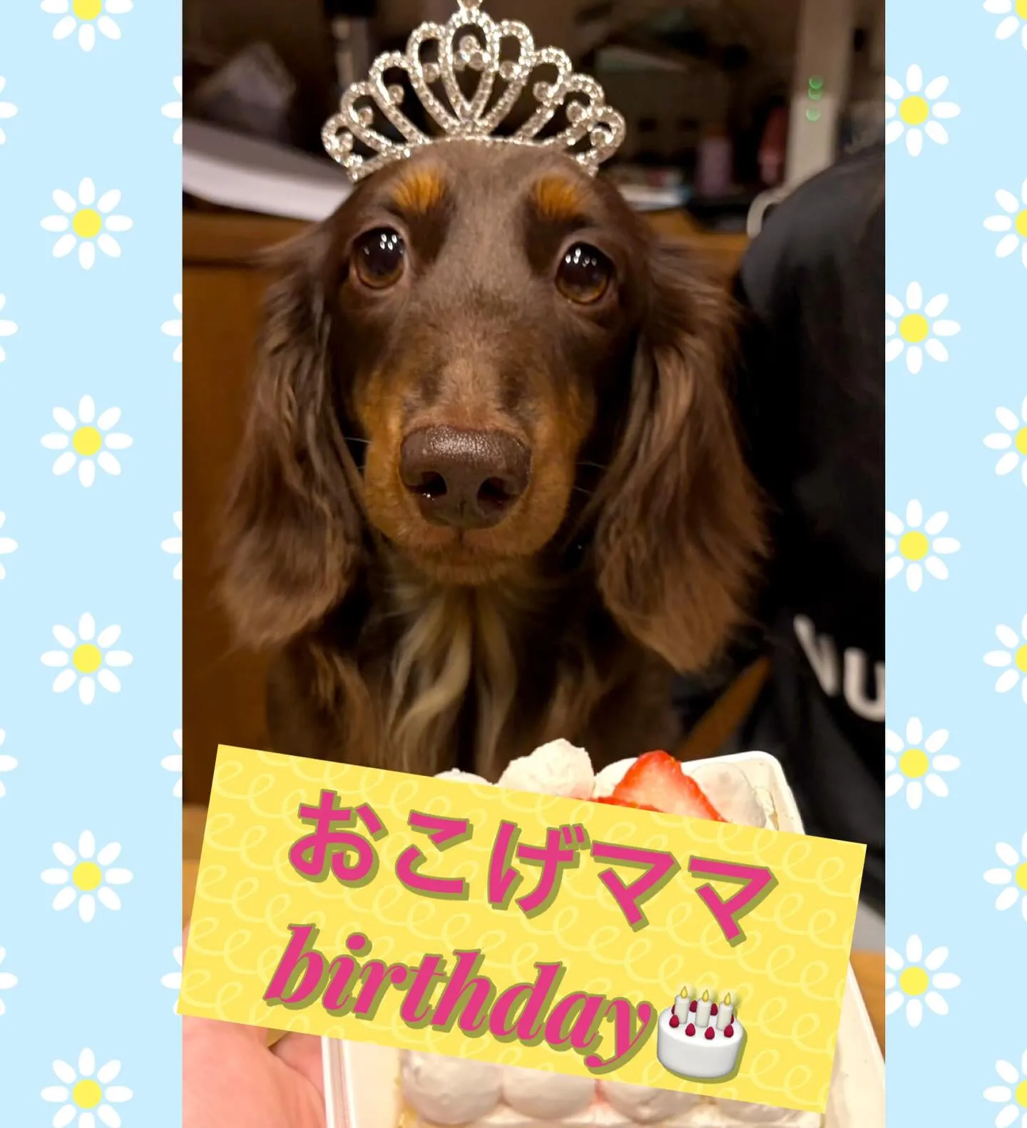 ** おこげママ バースデー **