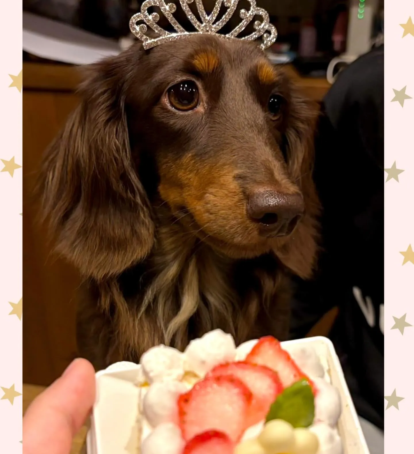 ** おこげママ バースデー **