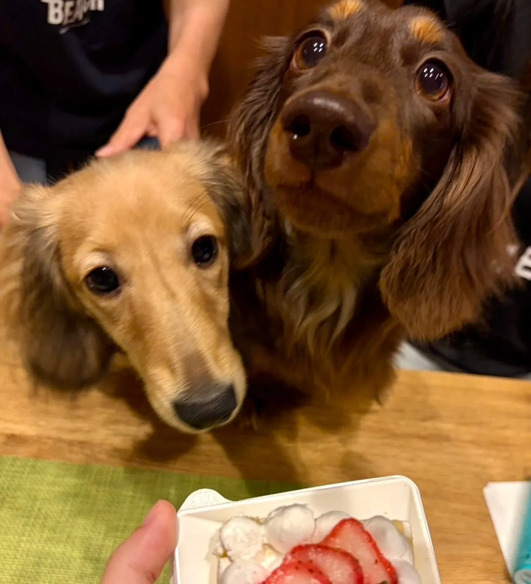 ** おこげママ バースデー **