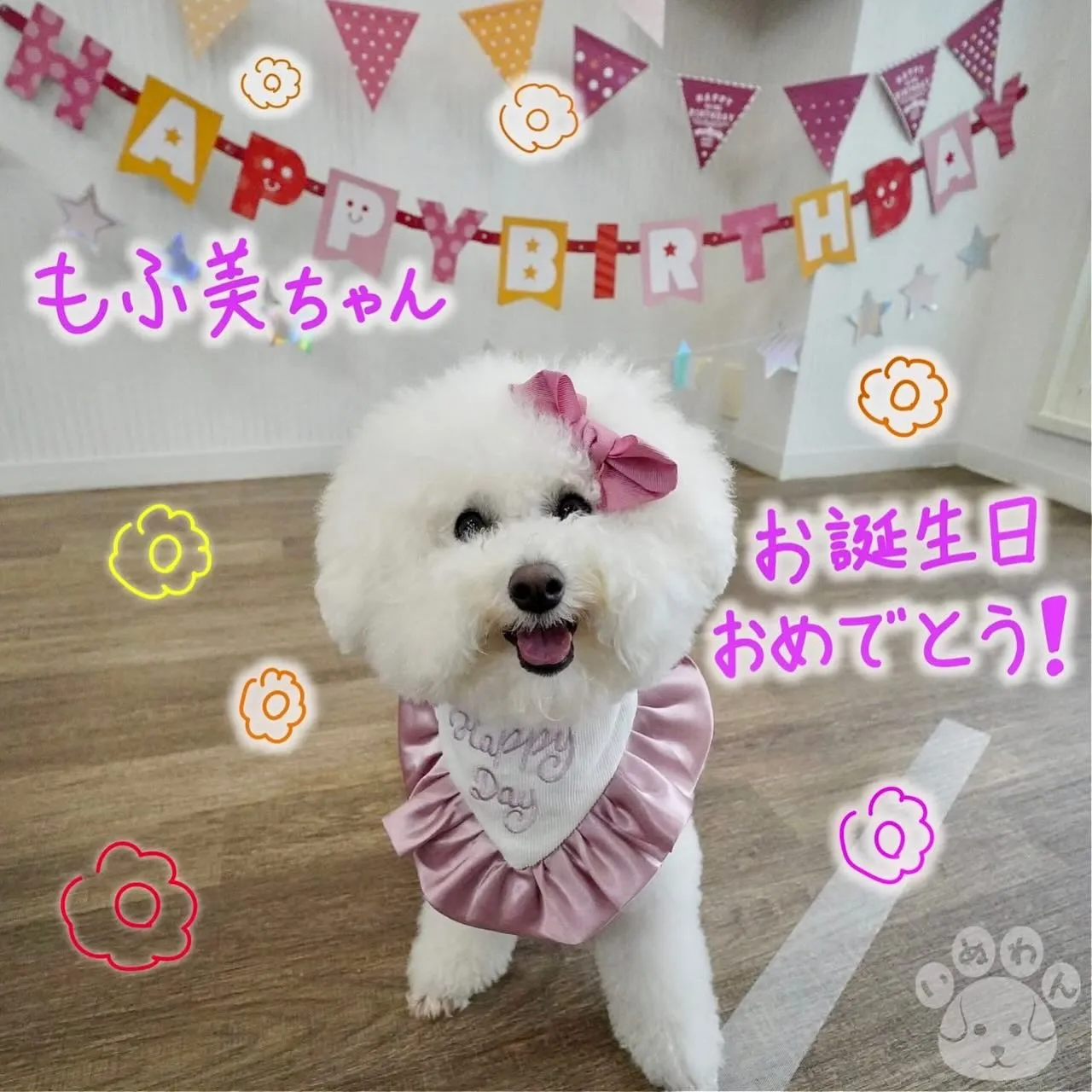 ** もふ美ちゃん バースデー **