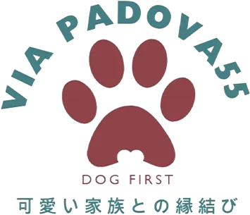 ホームページ、リニューアルしました！！