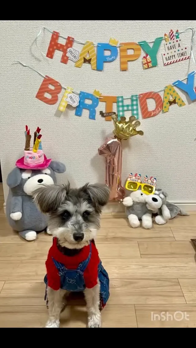 ＊＊ クウちゃんバースデー ＊＊